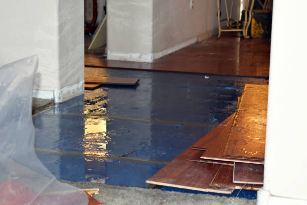 Professional Sewage Cleanup technician working in Bryan, TX